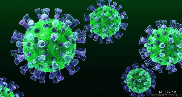Information on the Coronavirus